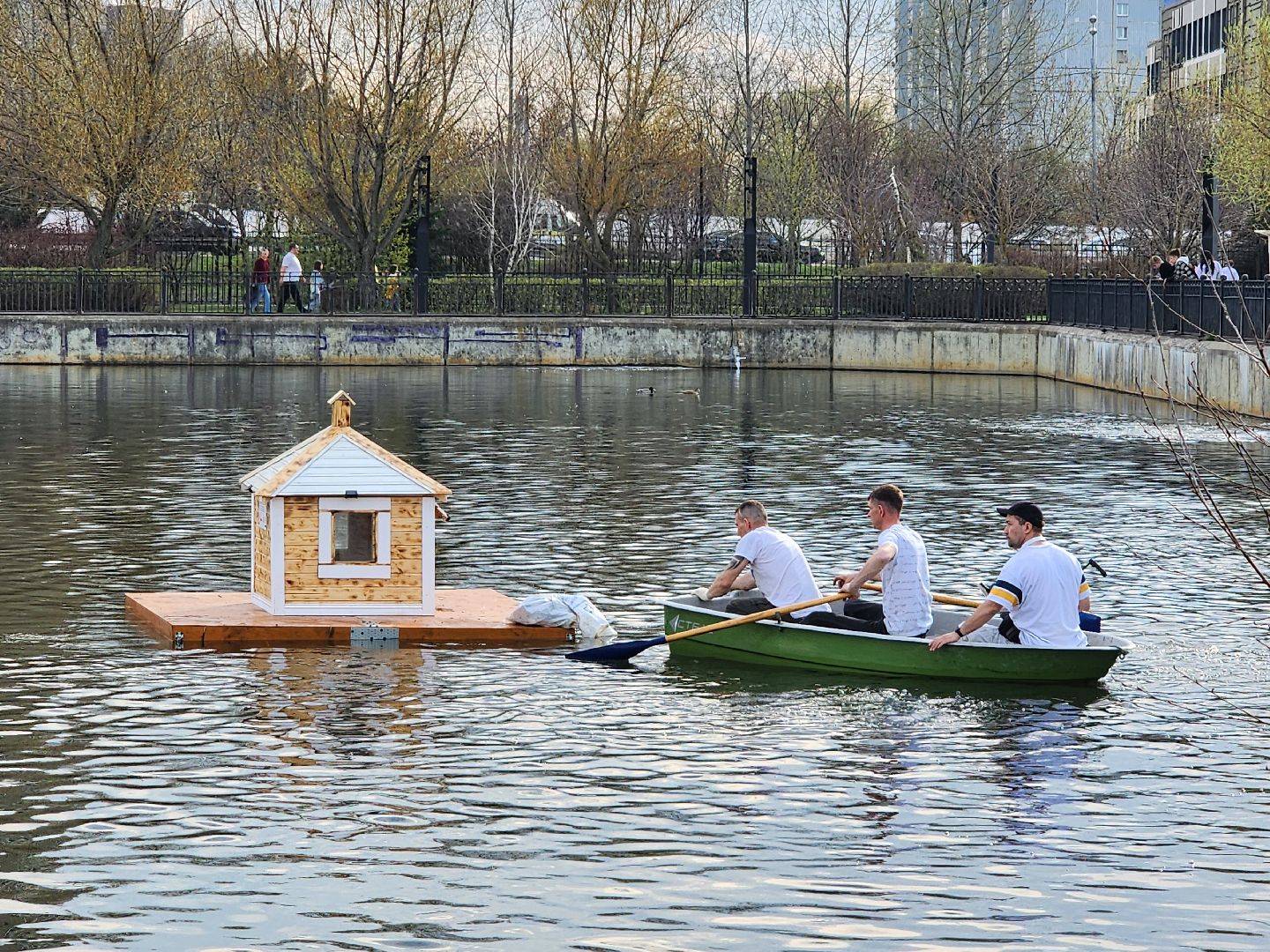 мытищи, лебеди,