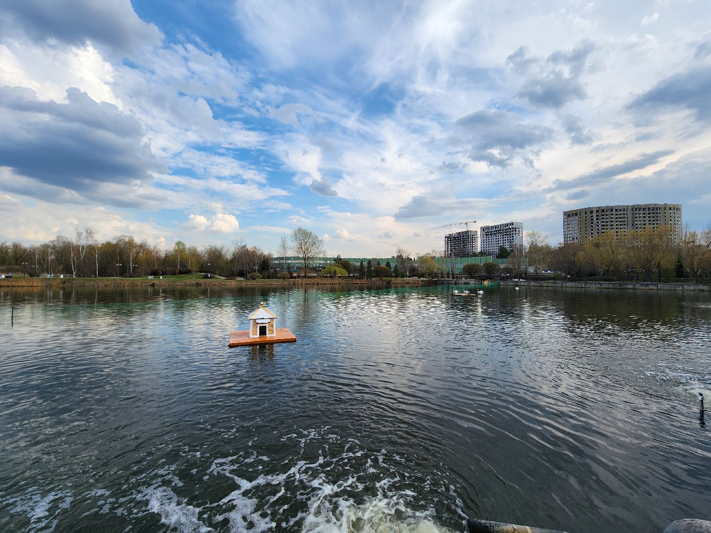 мытищи, лебеди,