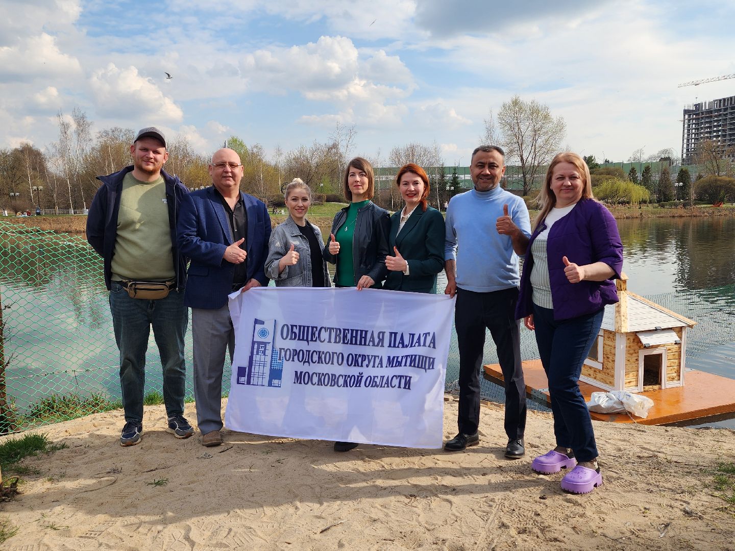 мытищи, лебеди,