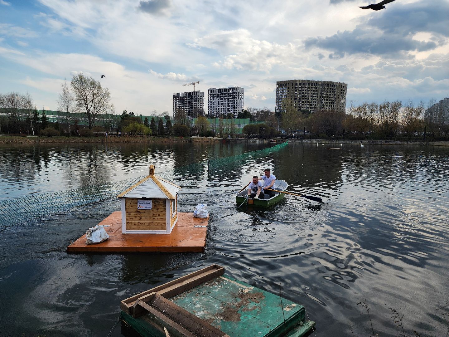 мытищи, лебеди,