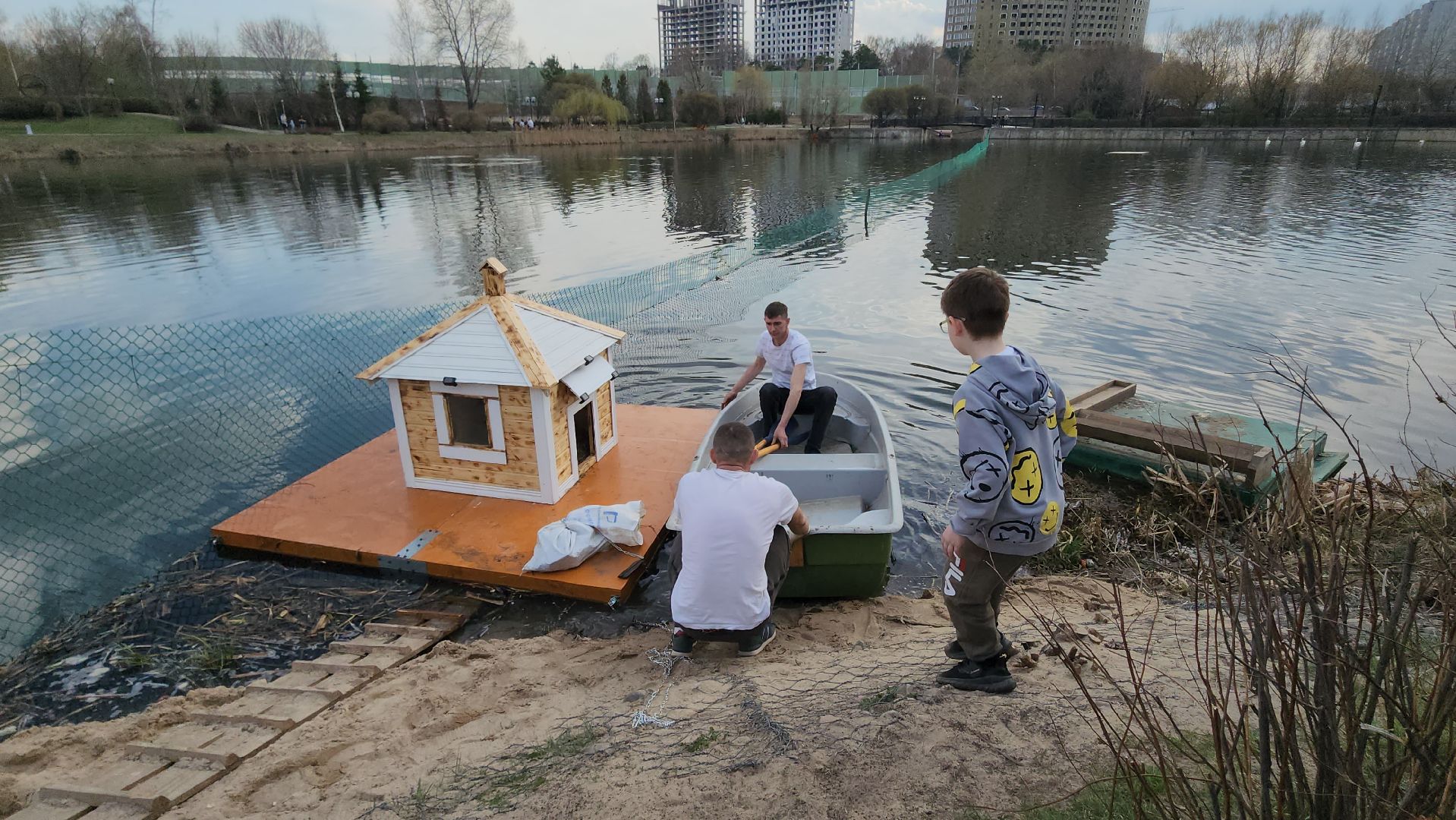 мытищи, лебеди,