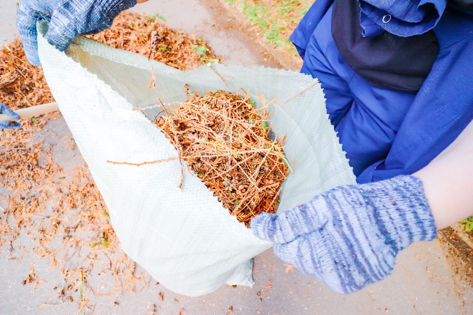 клин, общество, субботник, экономика, благоустройство,