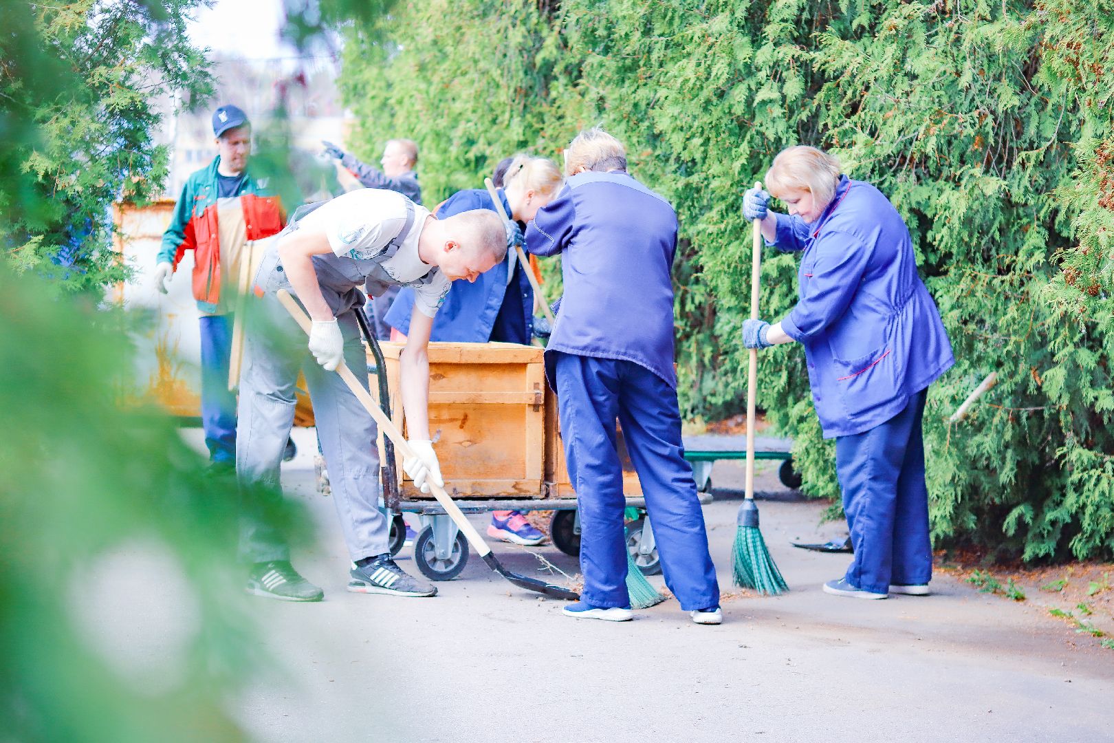 клин, общество, субботник, экономика, благоустройство,