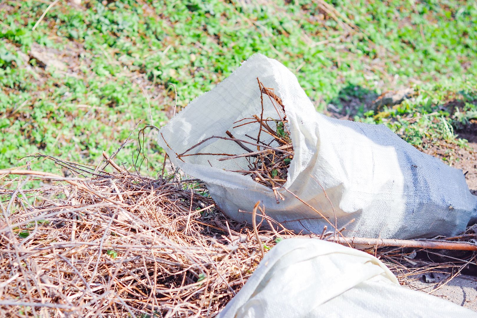 клин, общество, субботник, экономика, благоустройство,