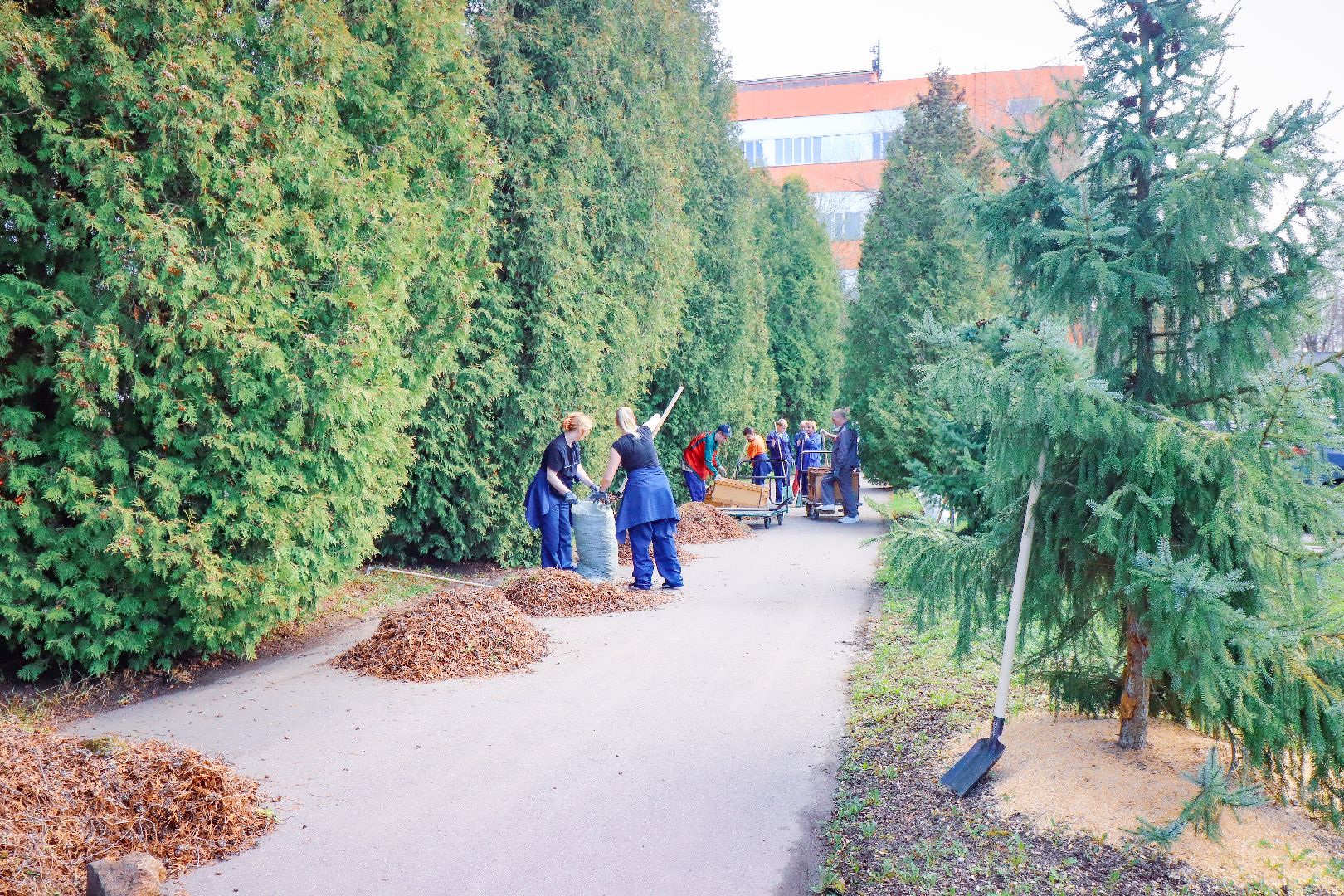 клин, общество, субботник, экономика, благоустройство,