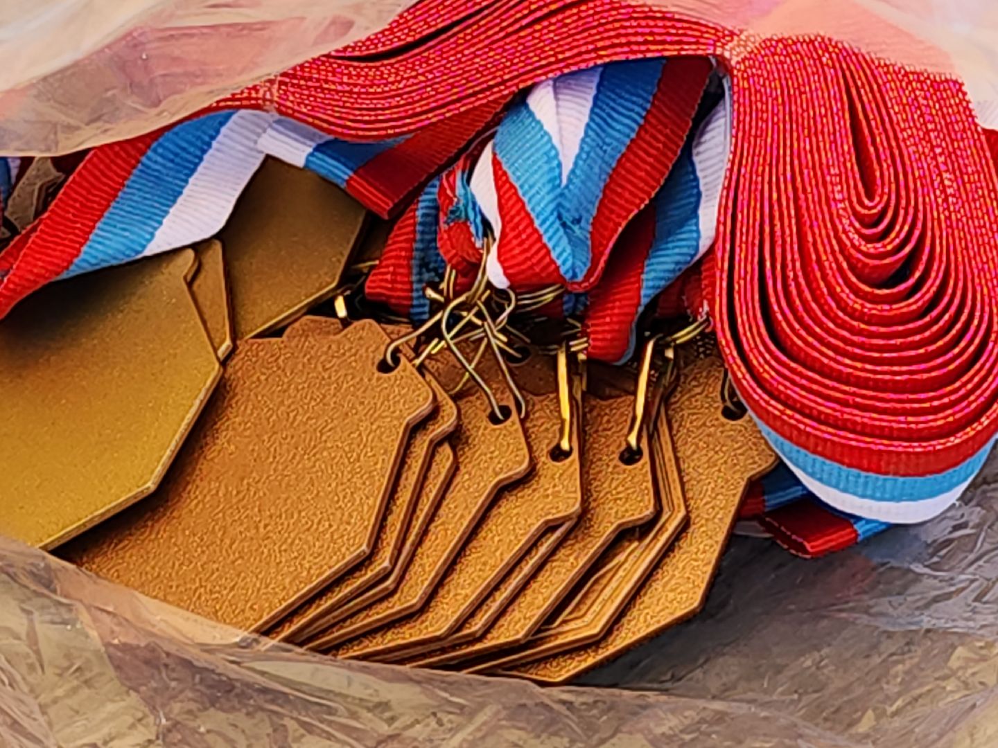 сергиев посад, хотьково, сергиево-посадский городской округ, спортивное ориентирование, чемпионат,  московская область,