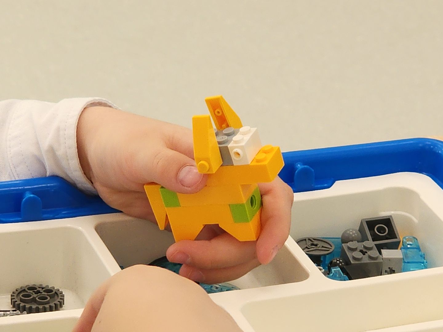 мытищи, робототехника,