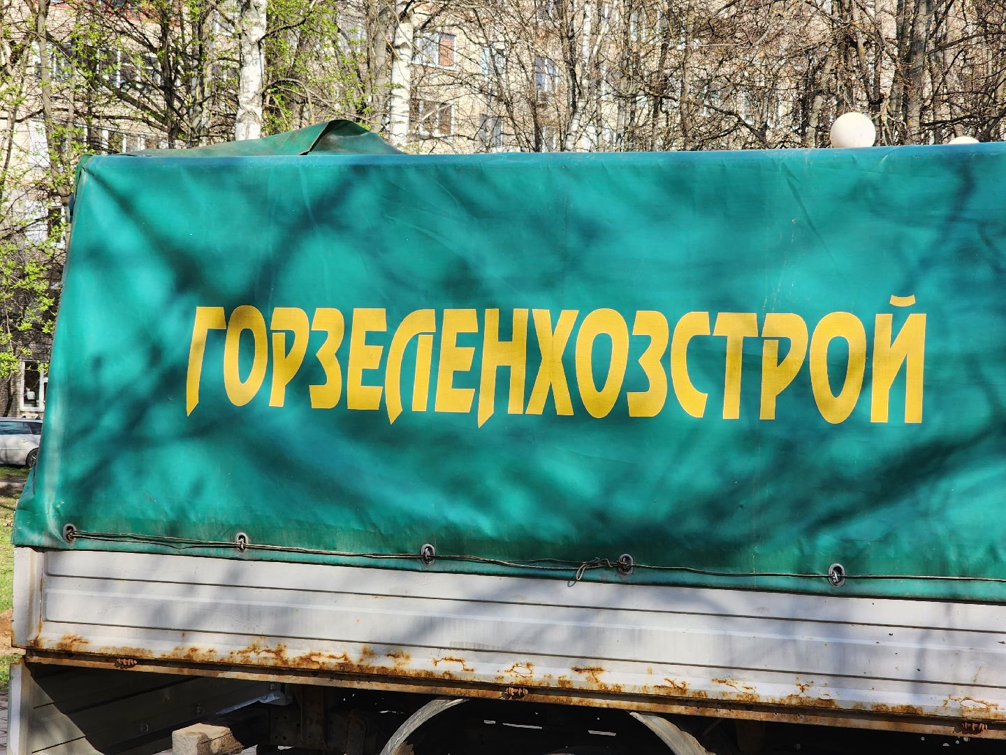 королёв, благоустройство , живые цветы, парки королева,