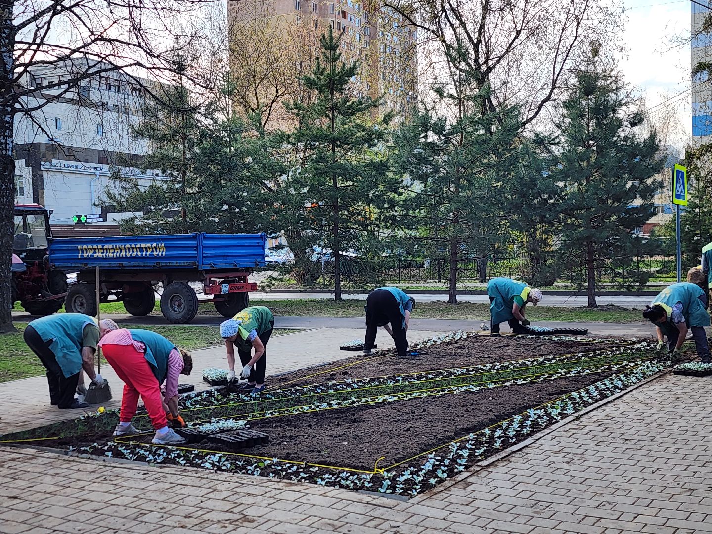 королёв, благоустройство , живые цветы, парки королева,