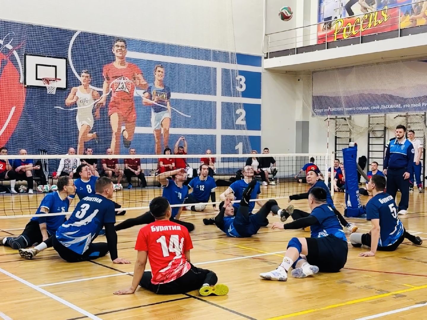 раменское, спорт, волейбол сидя, дворец спорта борисоглебский,