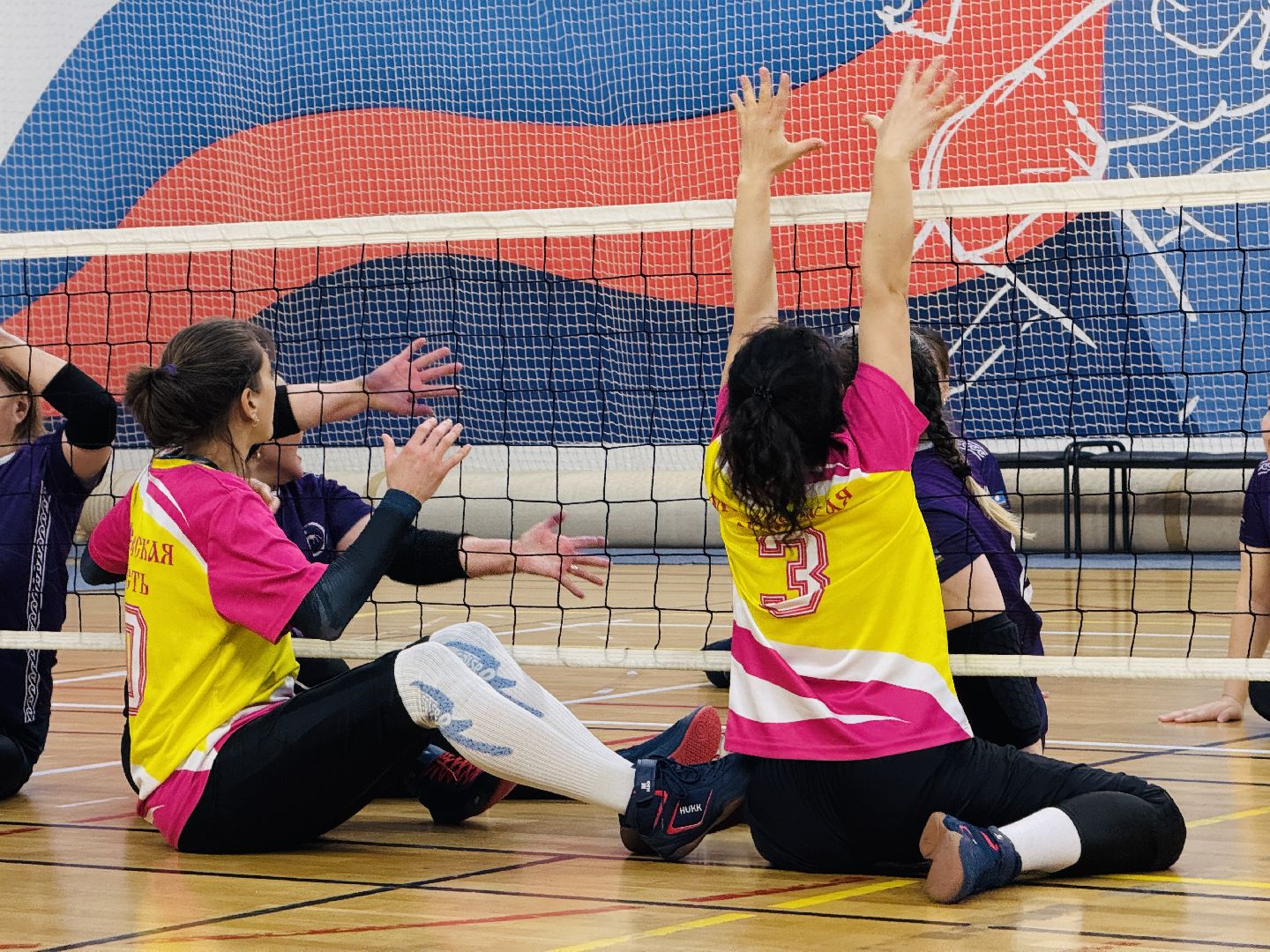 раменское, спорт, волейбол сидя, дворец спорта борисоглебский,