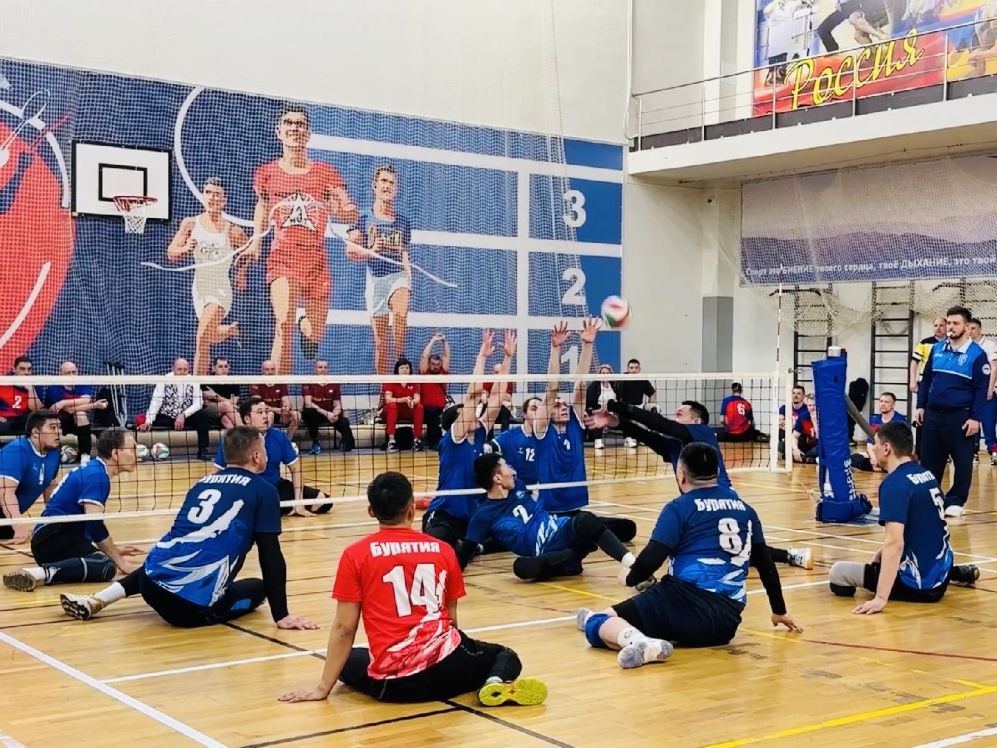 раменское, спорт, волейбол сидя, дворец спорта борисоглебский,
