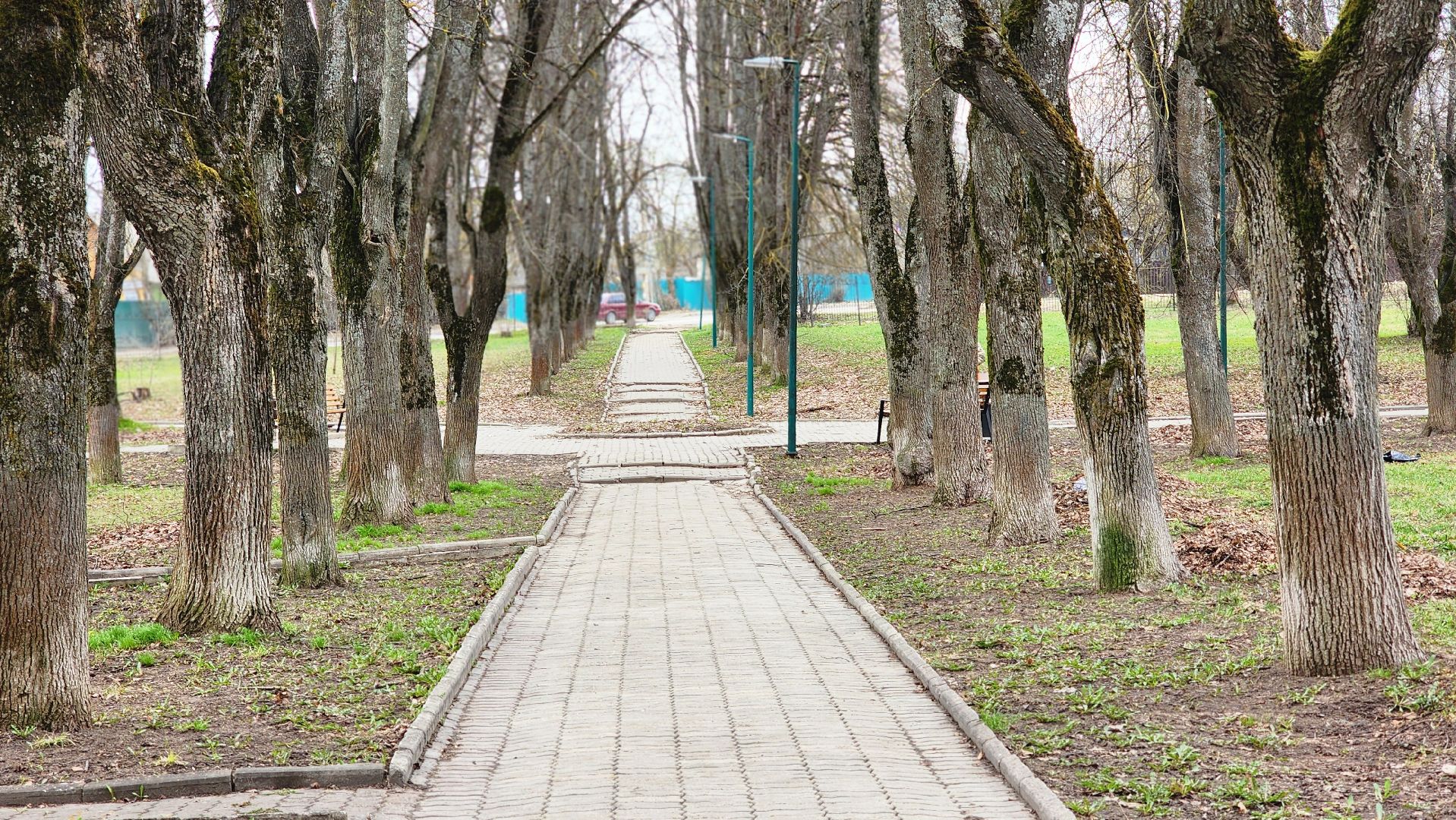 сквер, субботник, коммунальщики, руза,благоустройство,