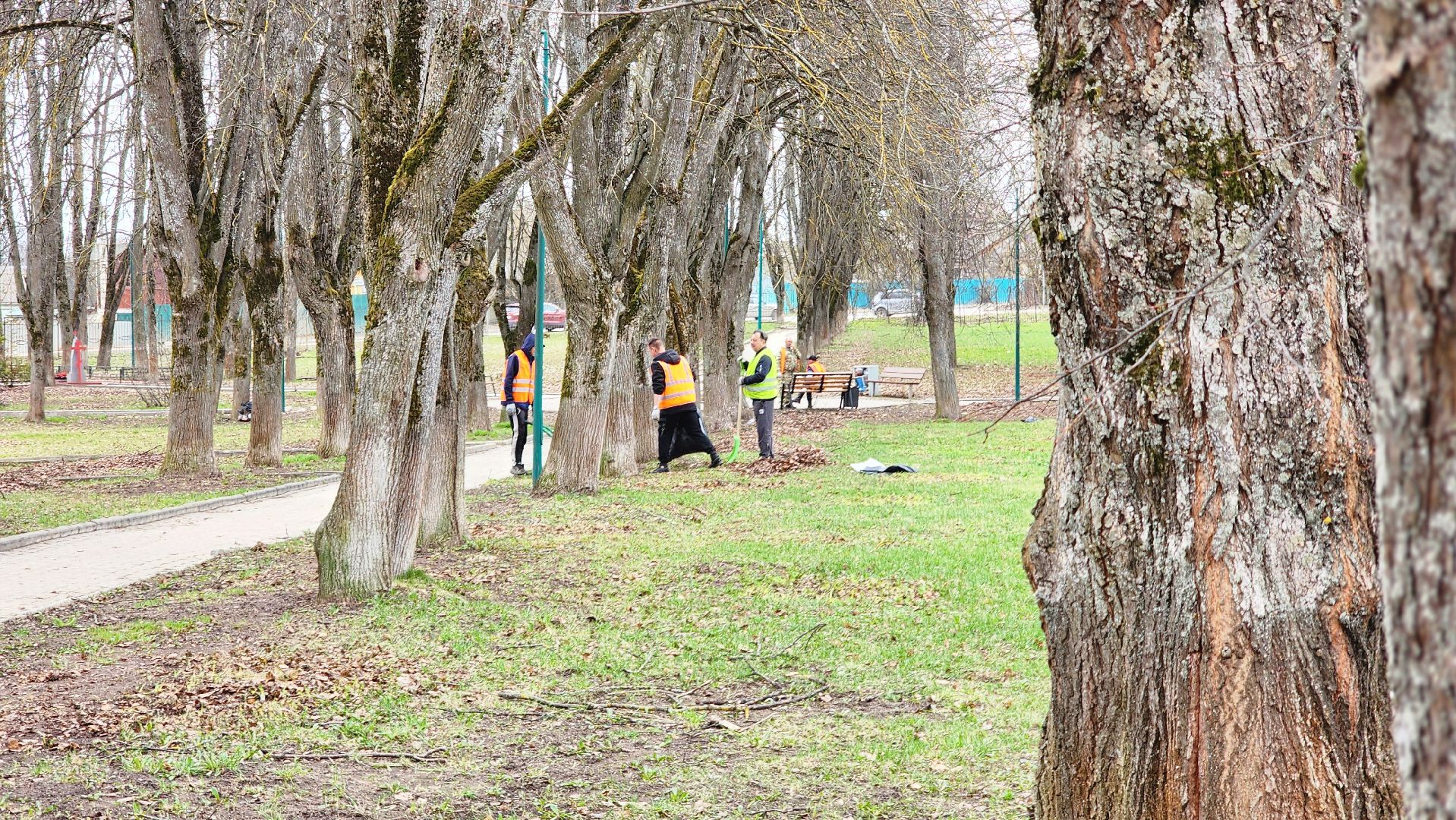 сквер, субботник, коммунальщики, руза,благоустройство,