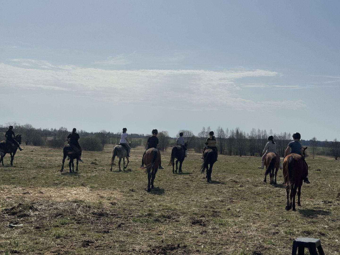 шаховская, конная школа, турнир,