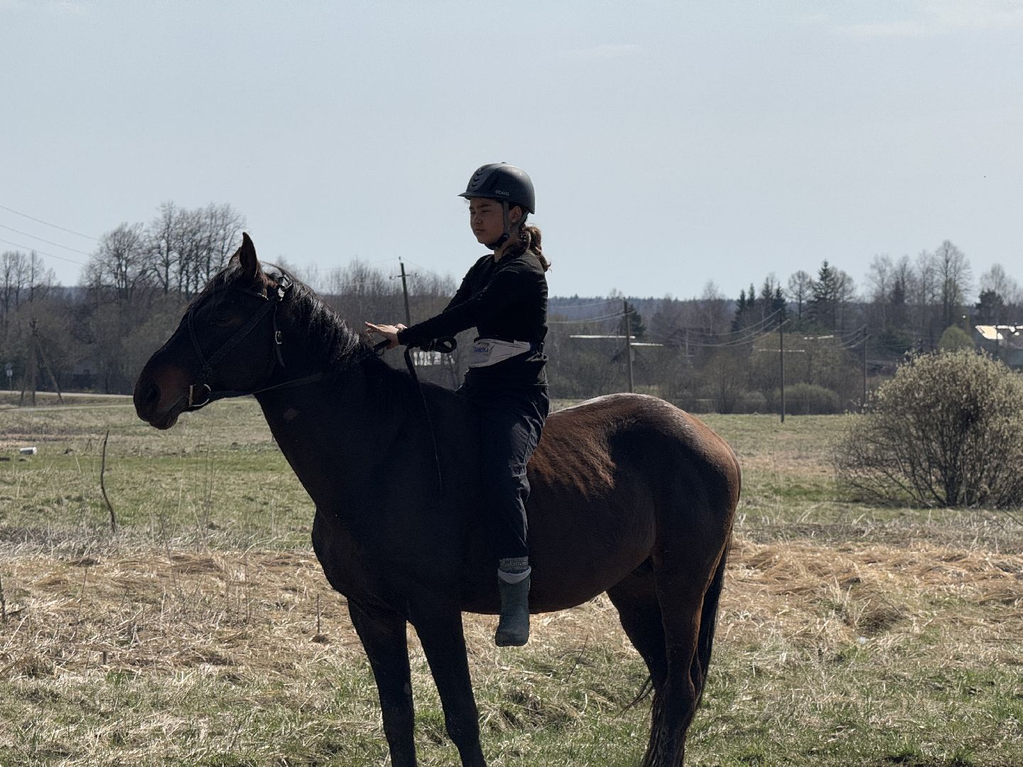 шаховская, конная школа, турнир,