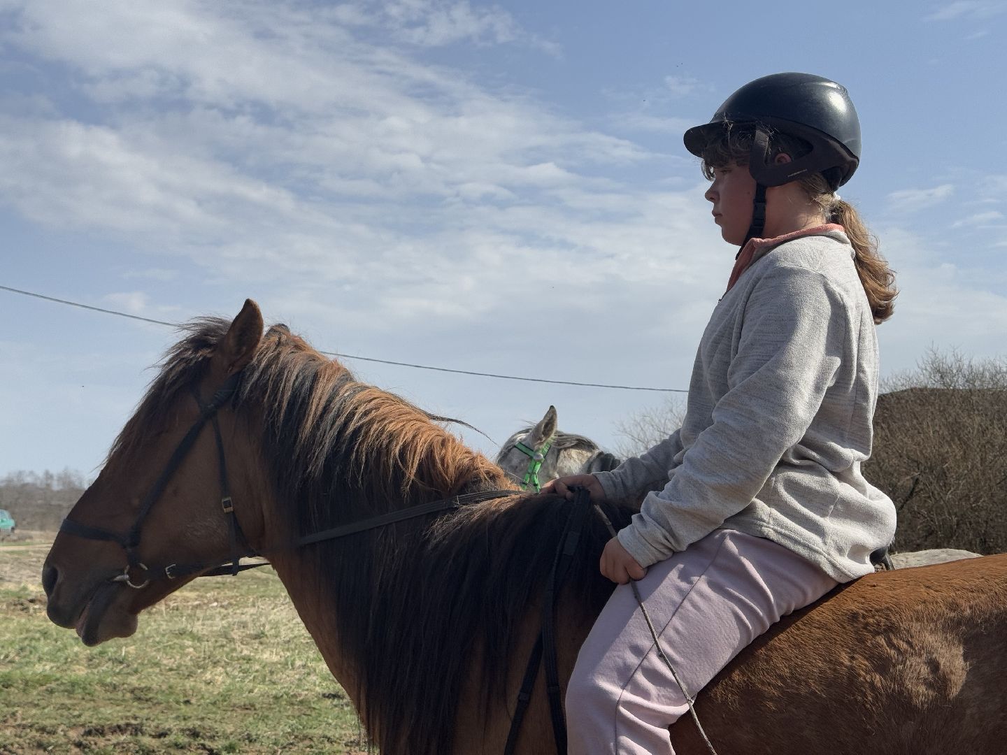 шаховская, конная школа, турнир,