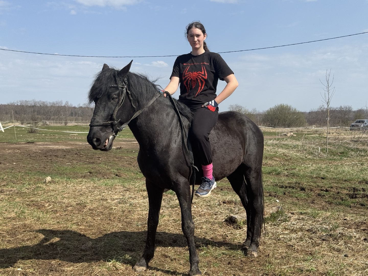 шаховская, конная школа, турнир,