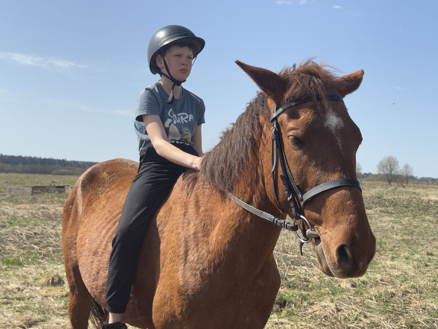 шаховская, конная школа, турнир,