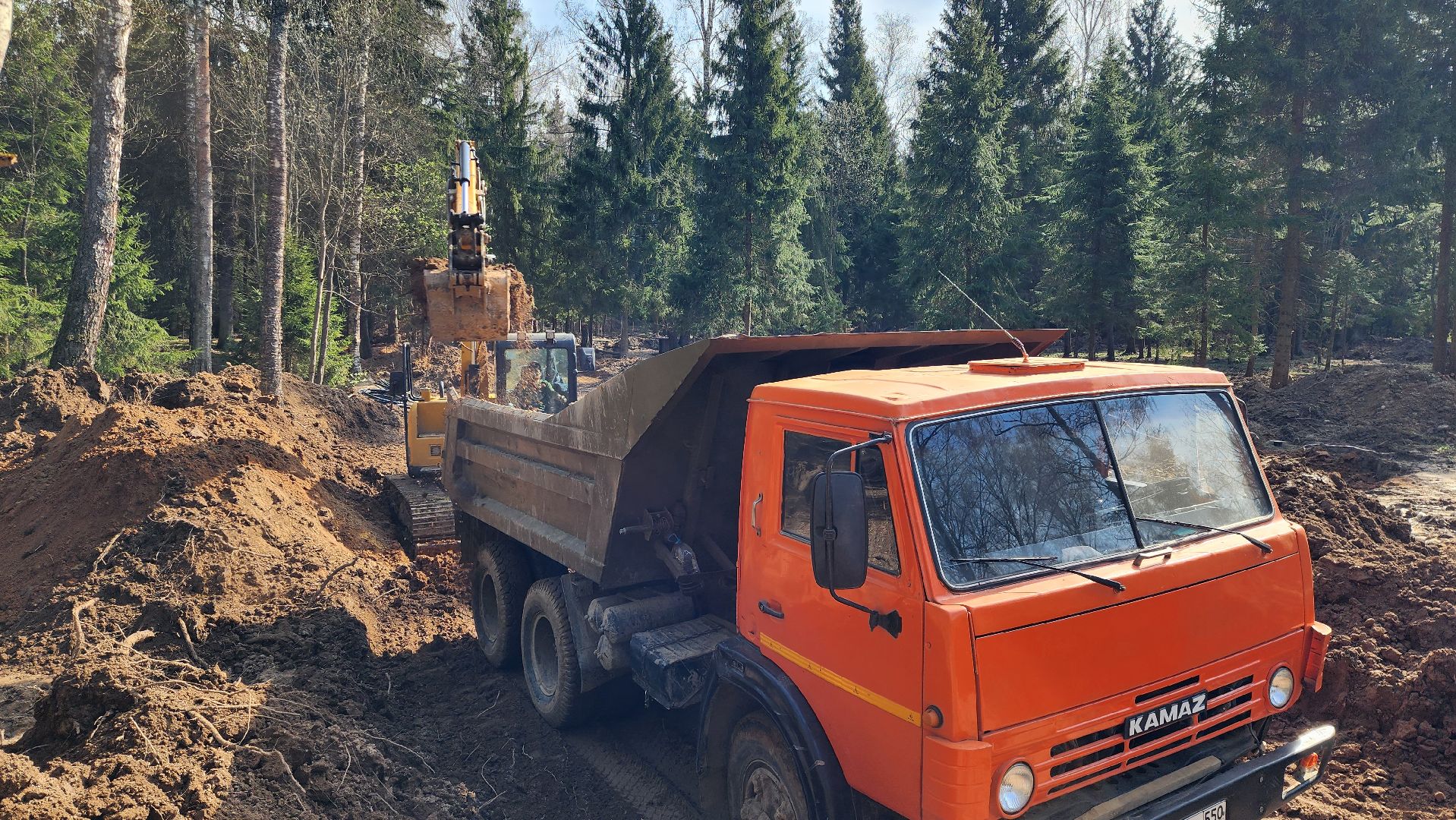 благоустройство, лесопарк, истра, строительство,