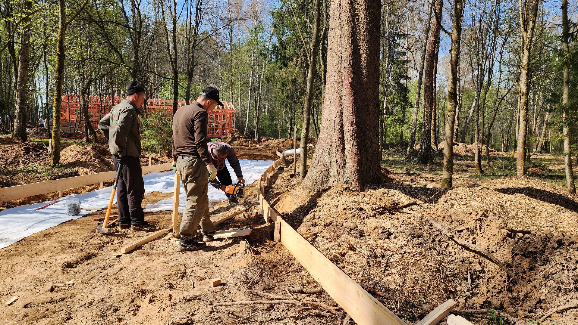 благоустройство, лесопарк, истра, строительство,