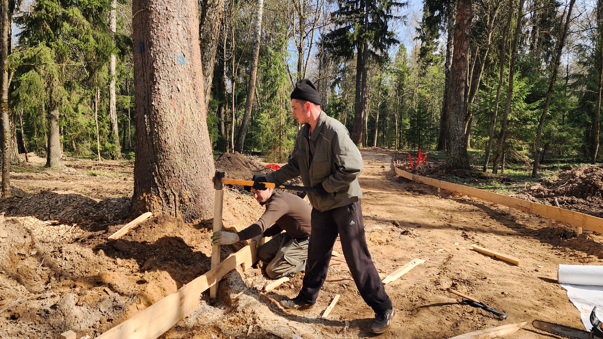 благоустройство, лесопарк, истра, строительство,