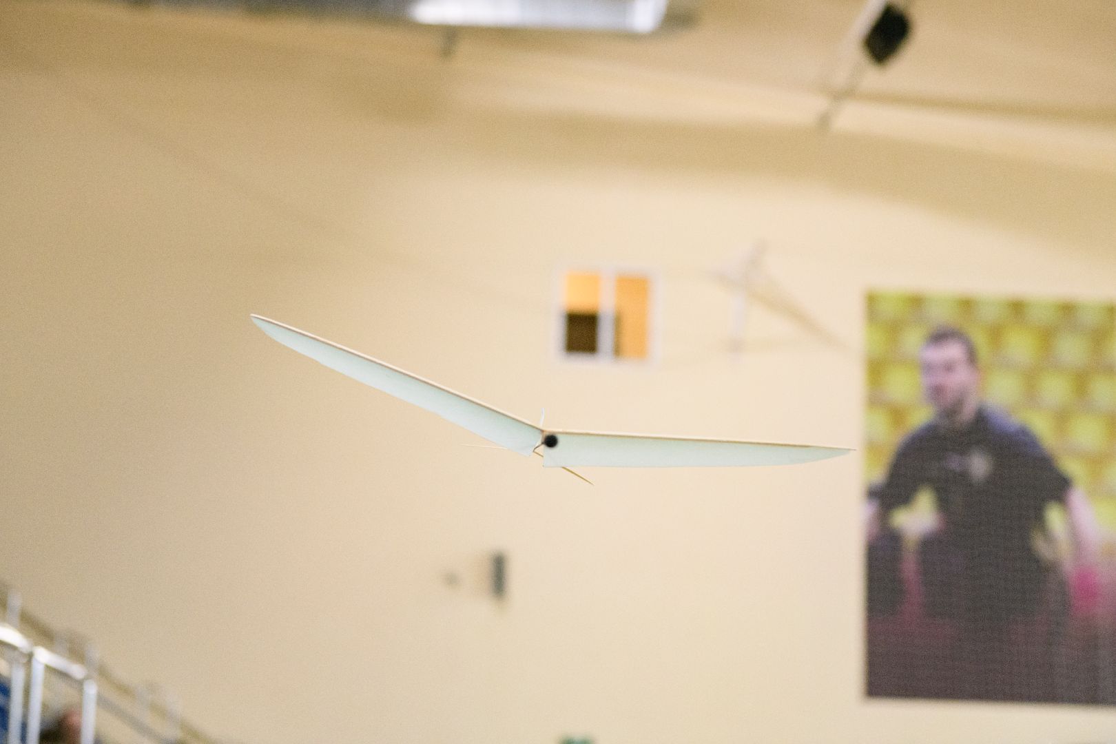 лыткарино, общество , планеры, авиамодельный спорт,