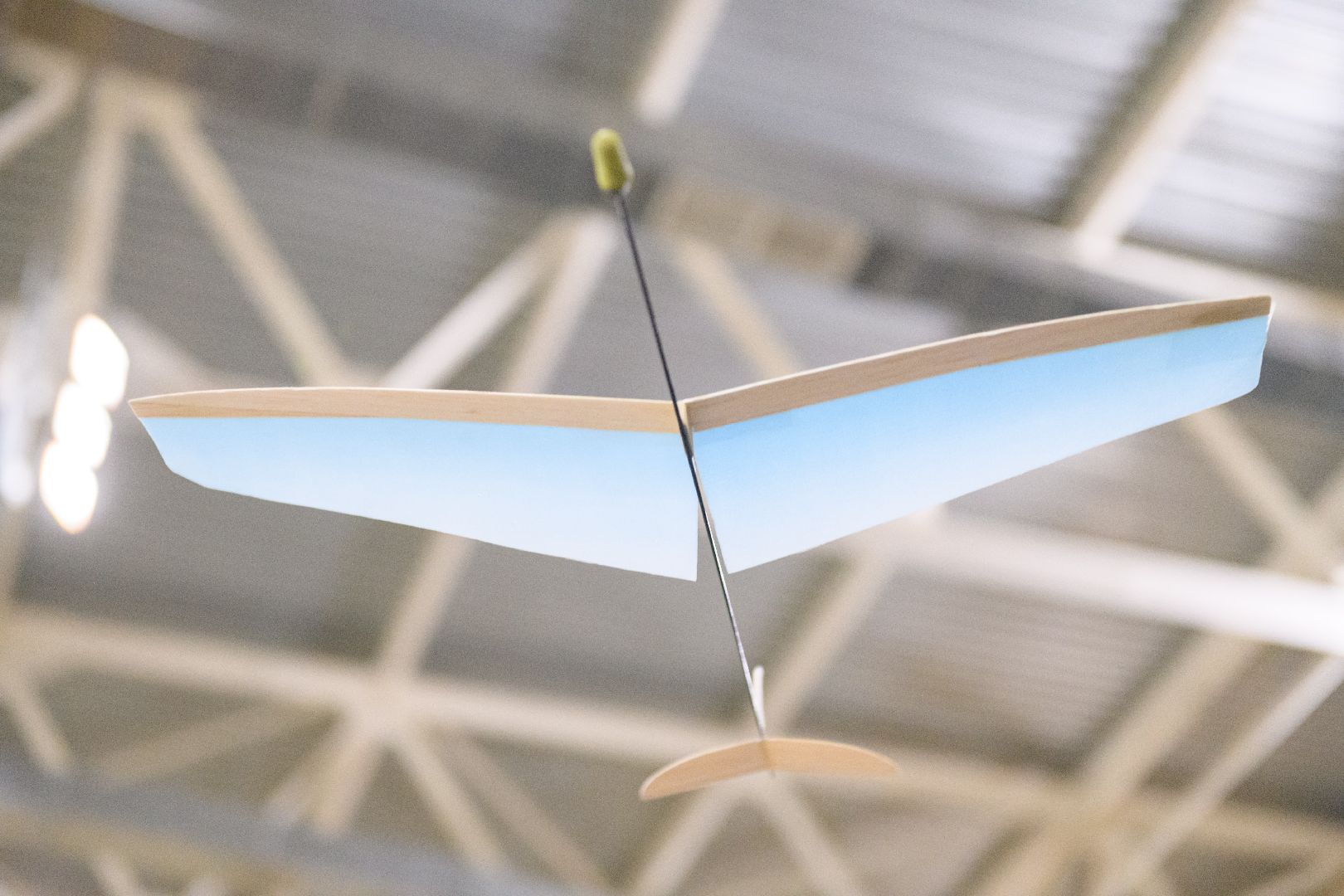 лыткарино, общество , планеры, авиамодельный спорт,