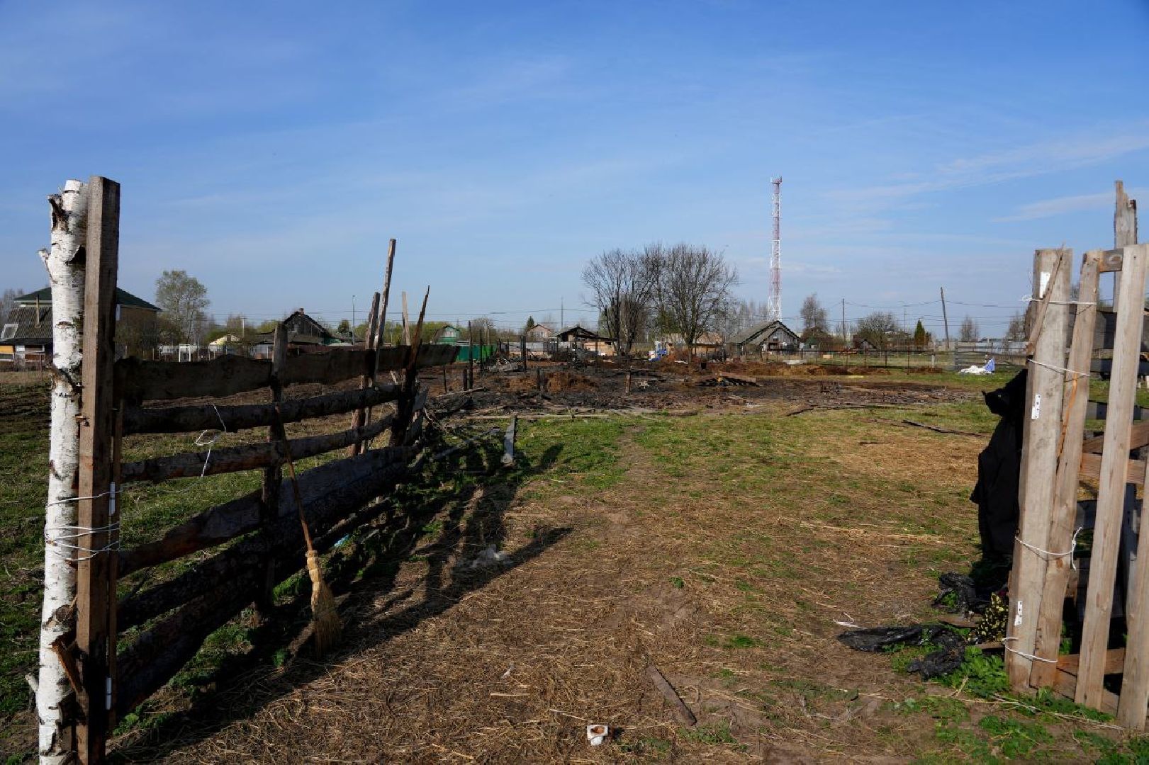 полиция , ветеринары , закон, животные, сергиево-посадский городской округ,