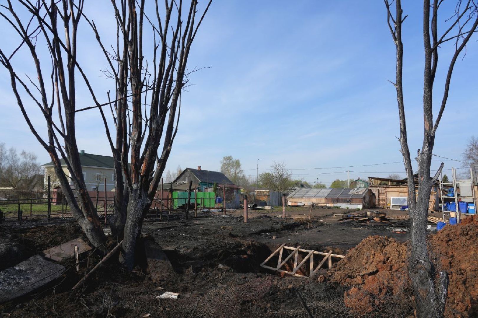 полиция , ветеринары , закон, животные, сергиево-посадский городской округ,