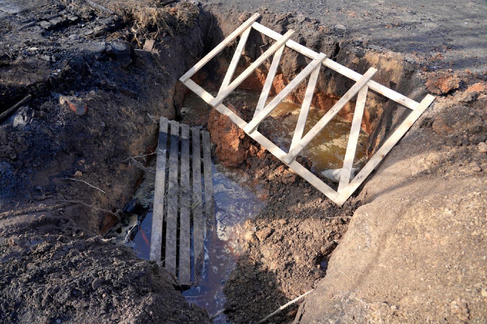 полиция , ветеринары , закон, животные, сергиево-посадский городской округ,