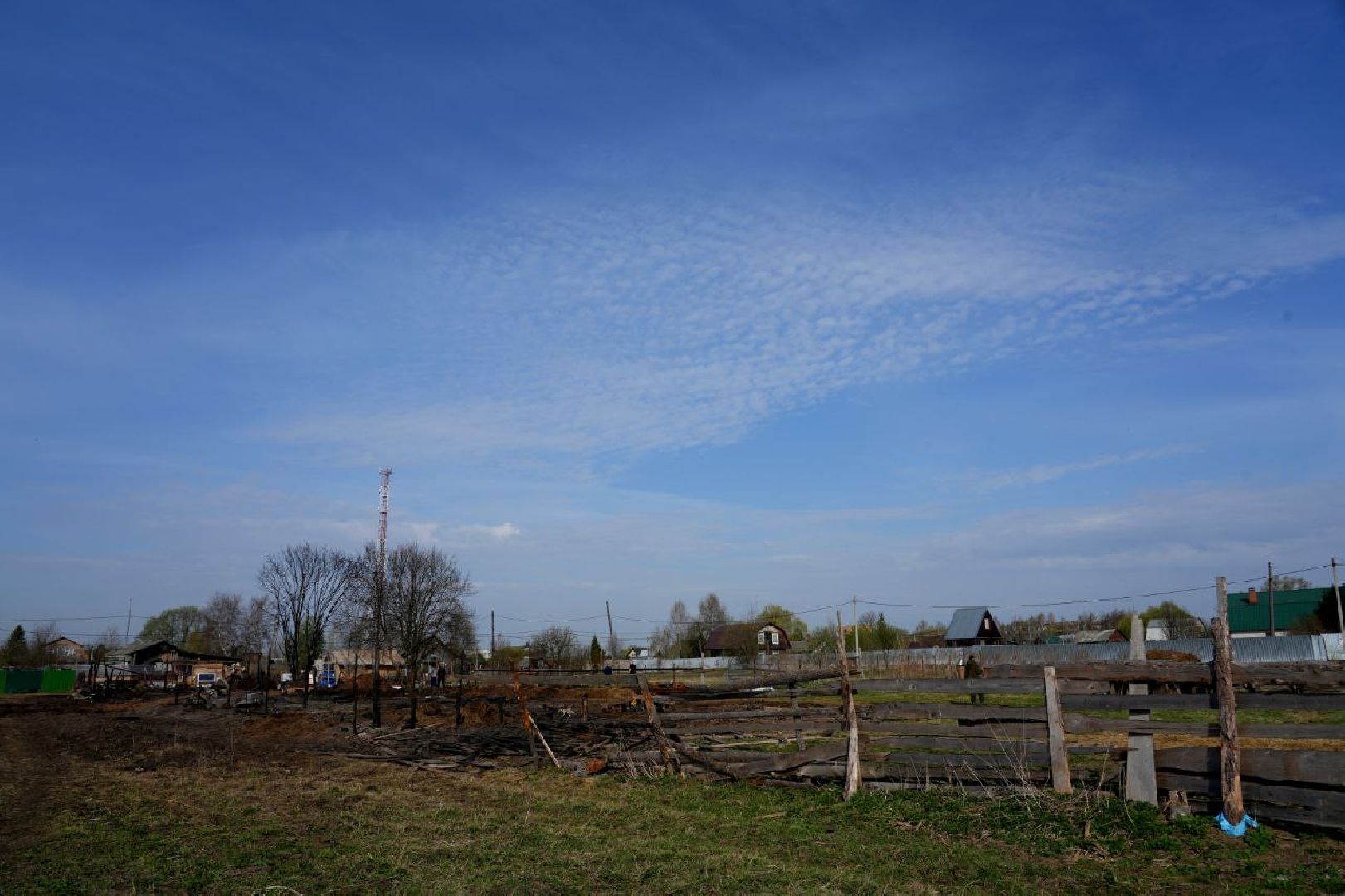 полиция , ветеринары , закон, животные, сергиево-посадский городской округ,