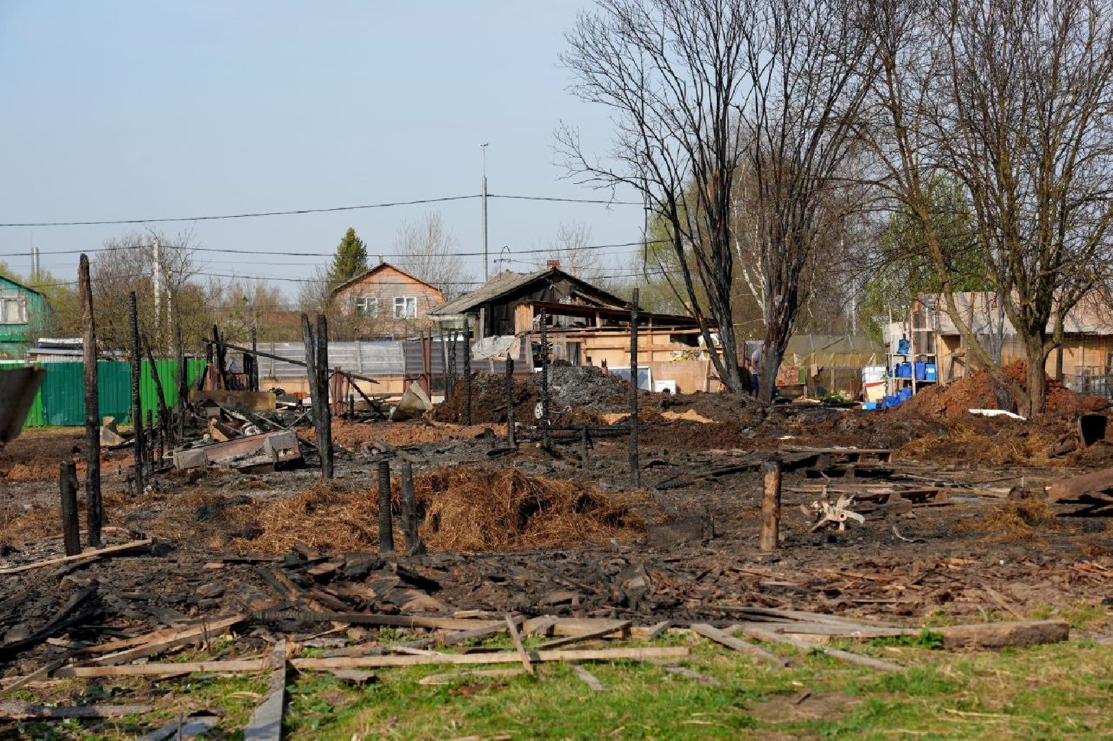 полиция , ветеринары , закон, животные, сергиево-посадский городской округ,