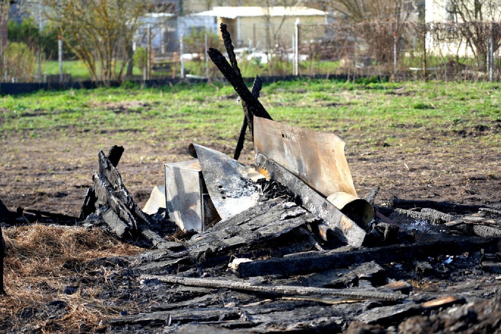 полиция , ветеринары , закон, животные, сергиево-посадский городской округ,