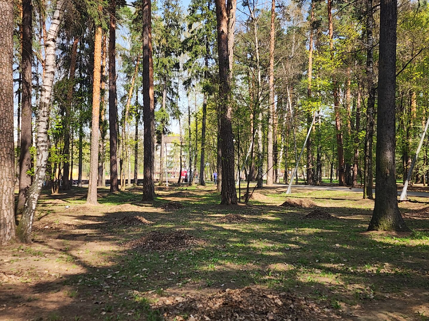 королёв, благоустройство, сквер героев курсантов в королеве, коммунальные службы города,