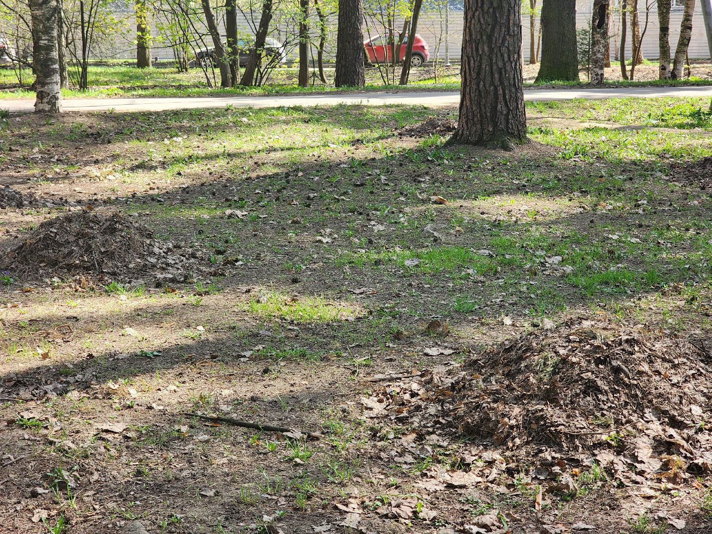 королёв, благоустройство, сквер героев курсантов в королеве, коммунальные службы города,