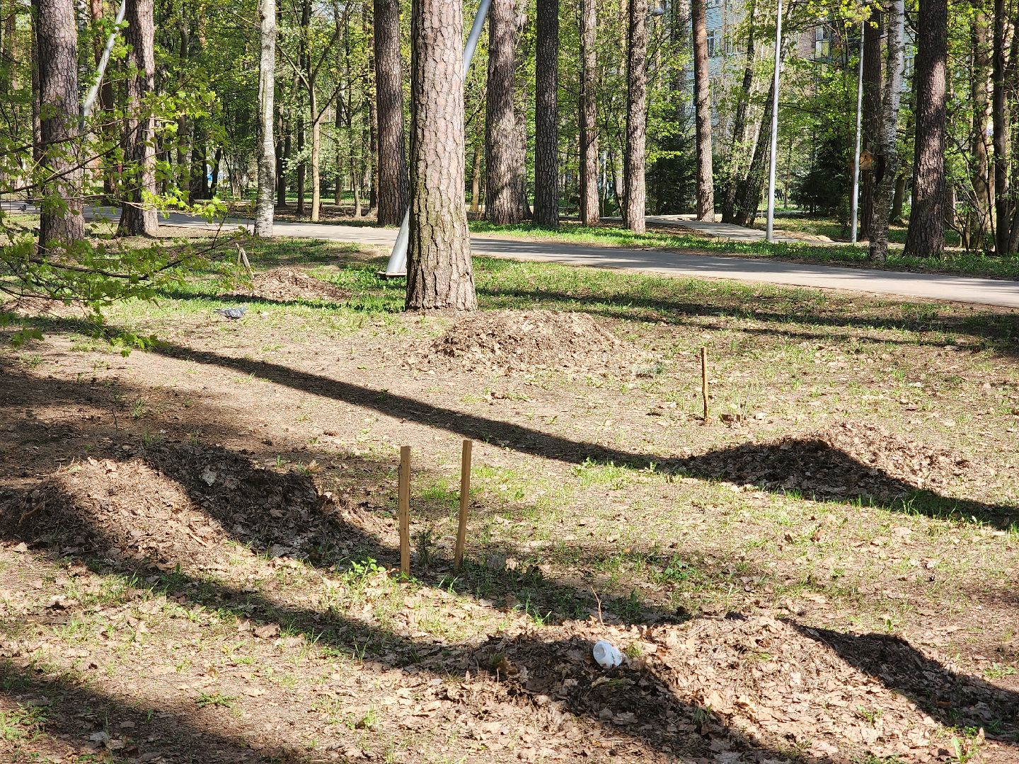 королёв, благоустройство, сквер героев курсантов в королеве, коммунальные службы города,