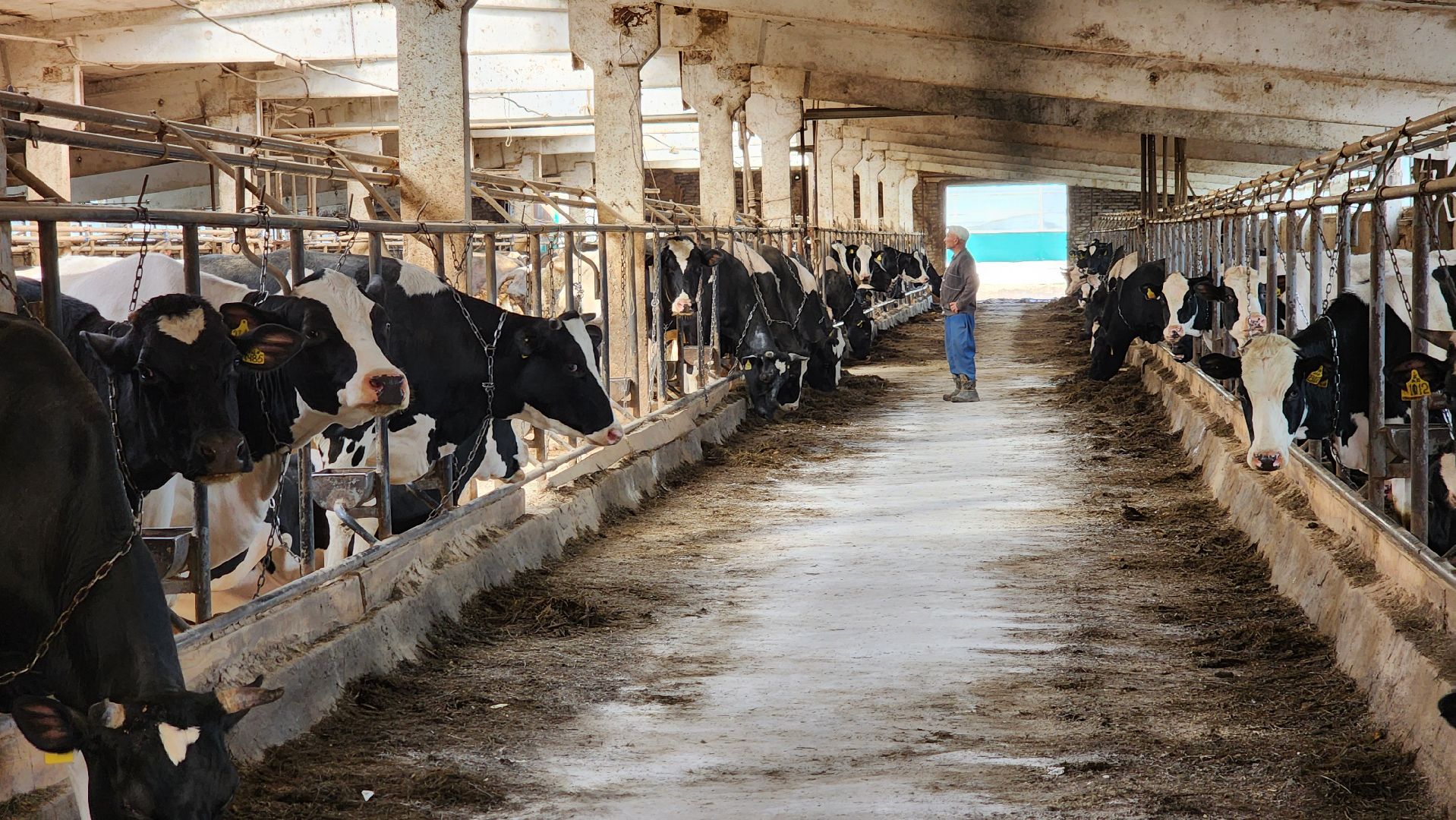 ферма цветковых, экскурсии по ферме, агротуризм, щёлково,