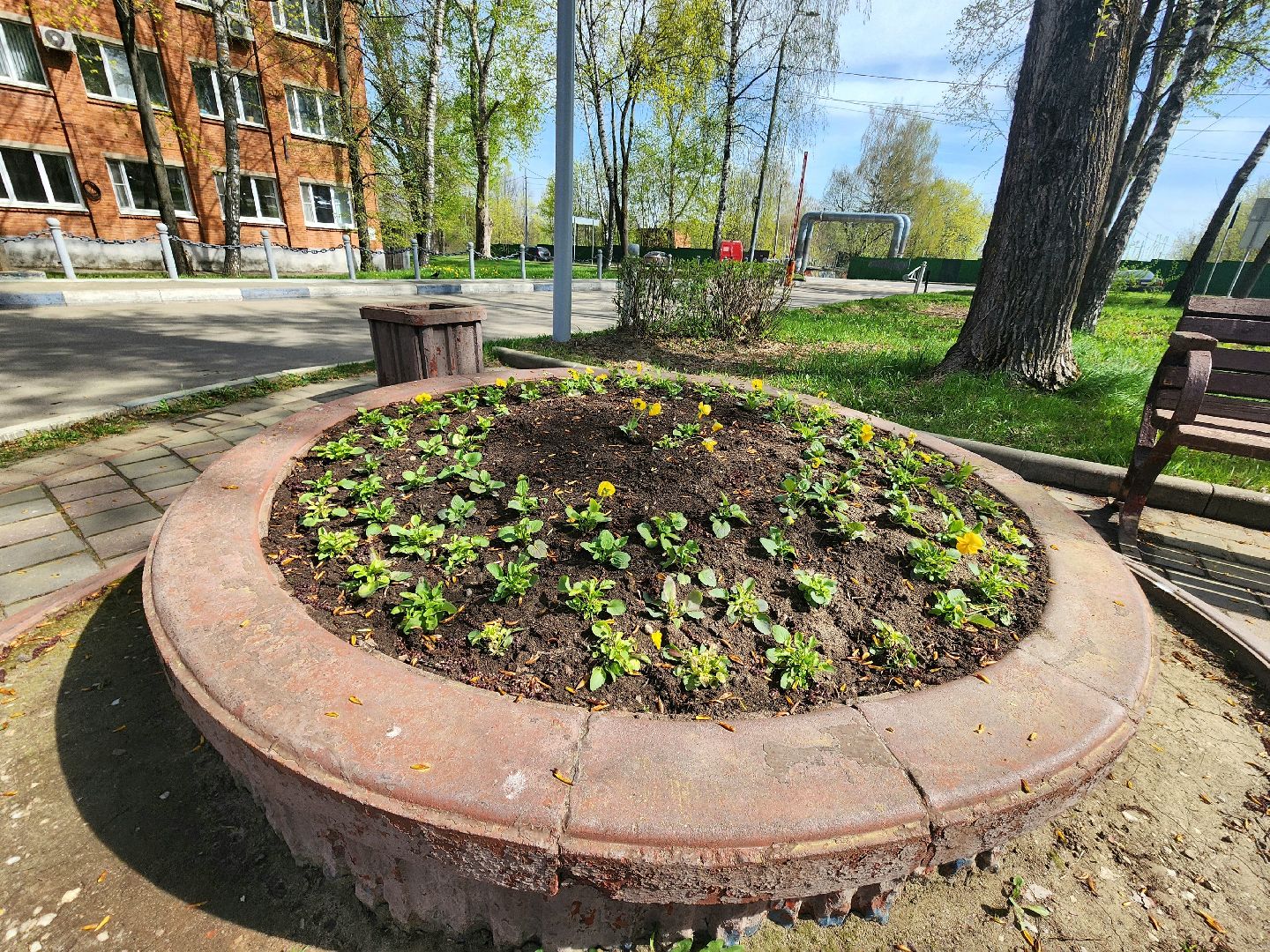 пущино , серпухов, благоустройство, цветники,