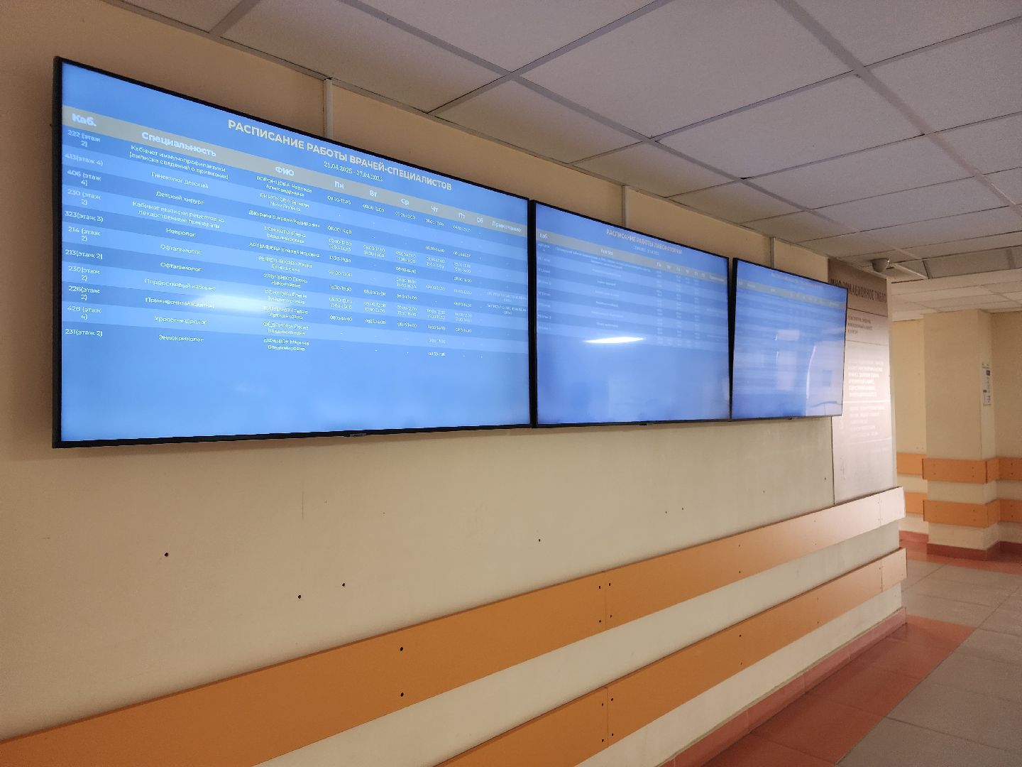 фрязино, клещи, боррелиоз, эпидемиолог,