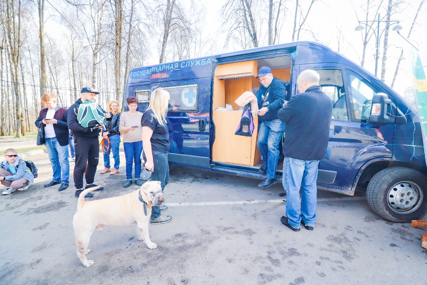 клин, общество, вакцинация животных, медицина,