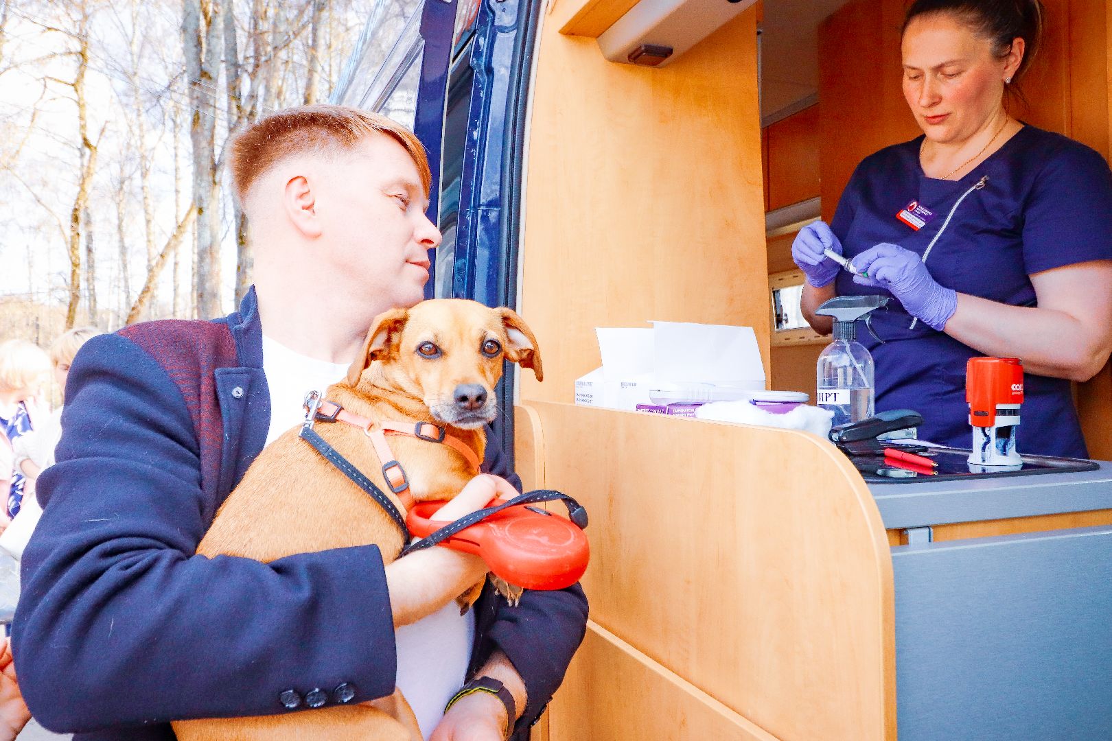 клин, общество, вакцинация животных, медицина,