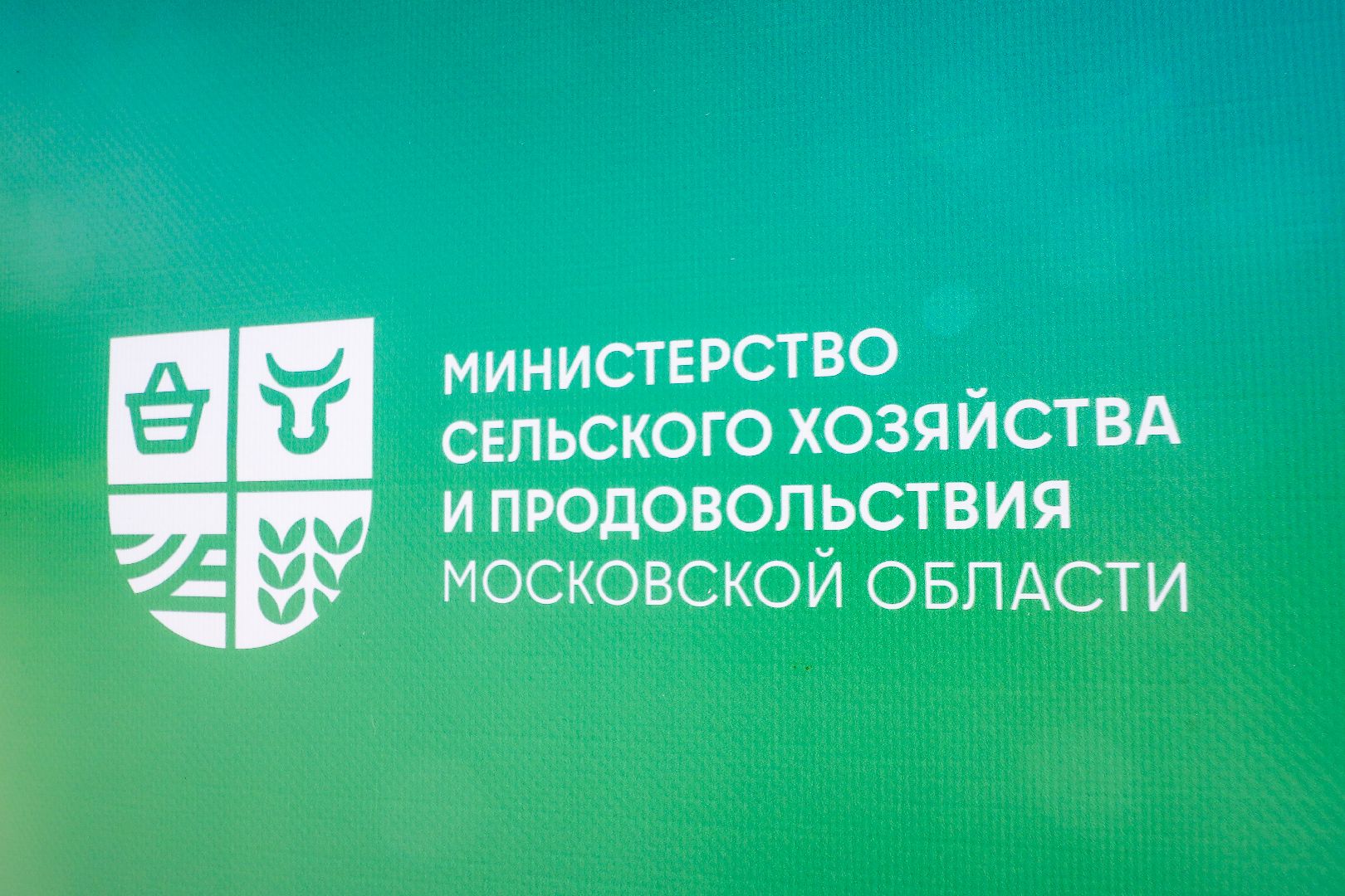 клин, общество, вакцинация животных, медицина,