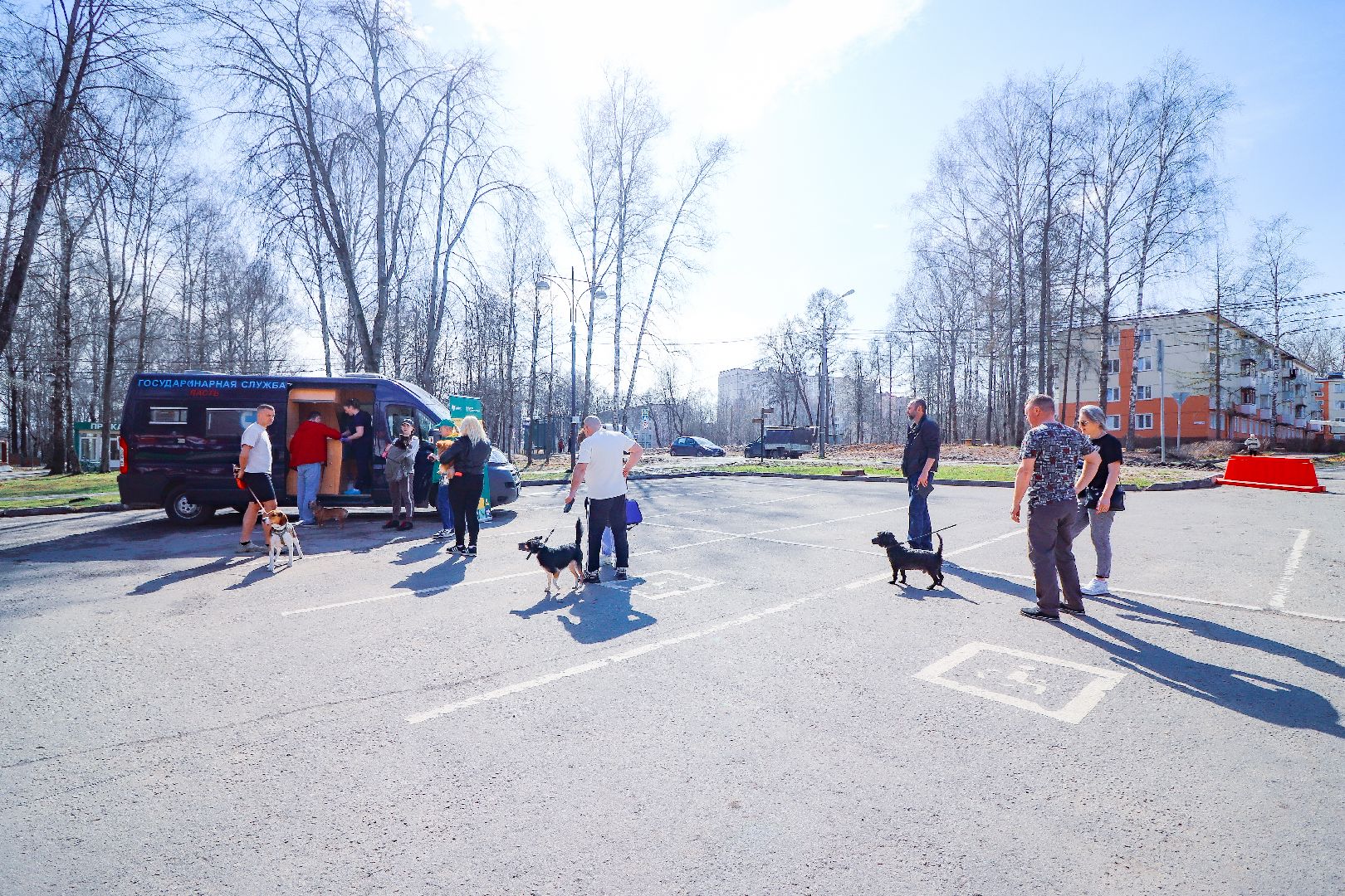 клин, общество, вакцинация животных, медицина,