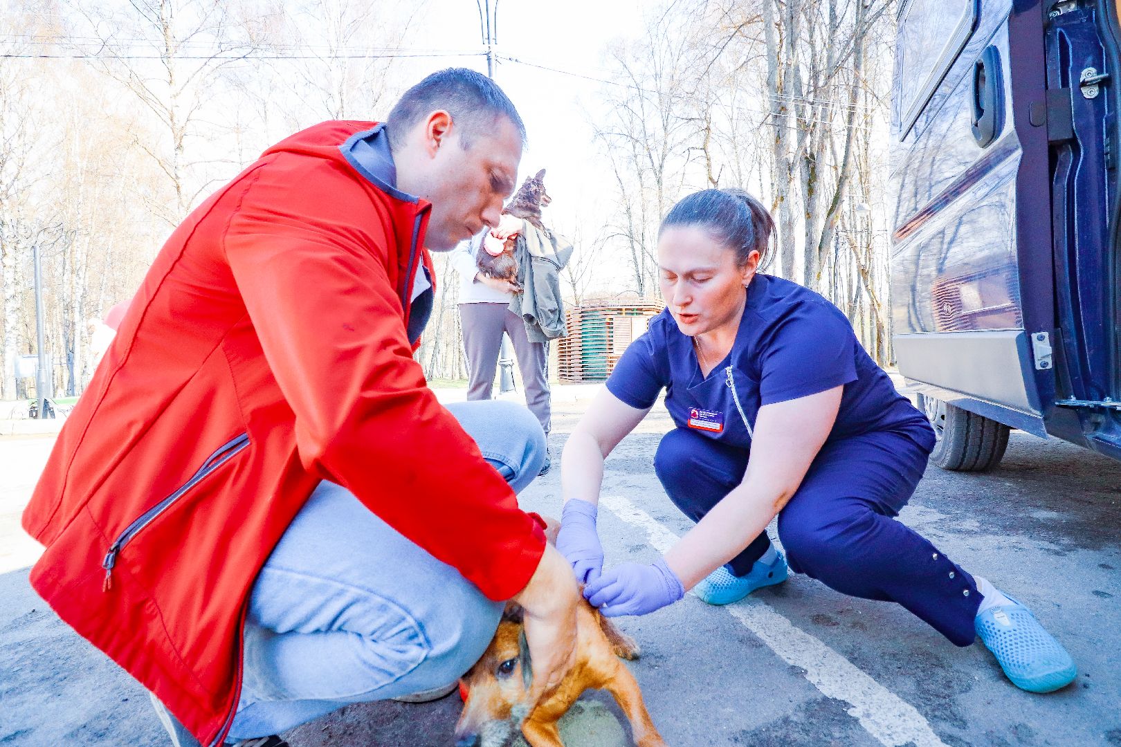 клин, общество, вакцинация животных, медицина,