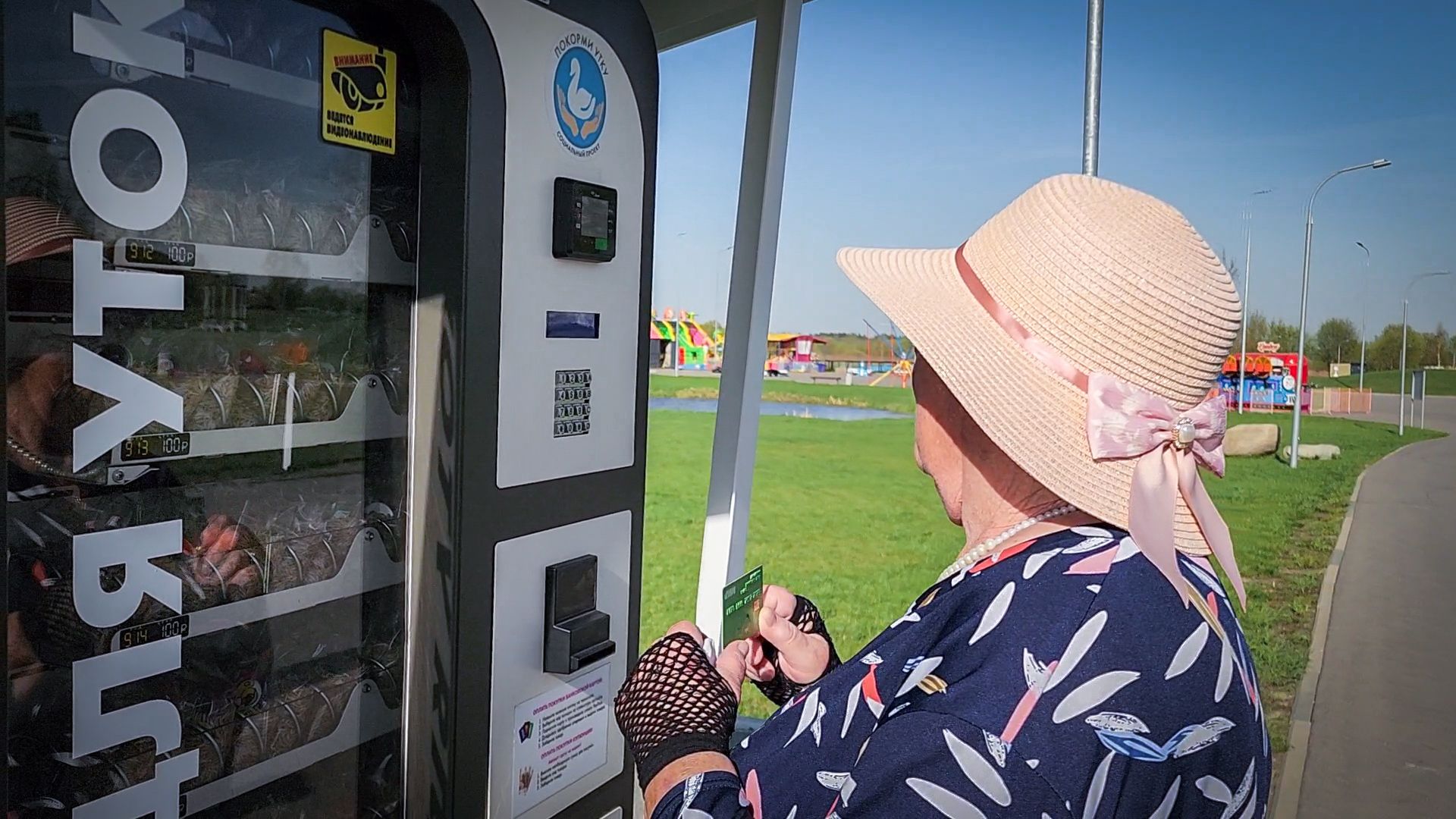 бронницы, парк бронницкий луг,  аппарат для кормления уток ,