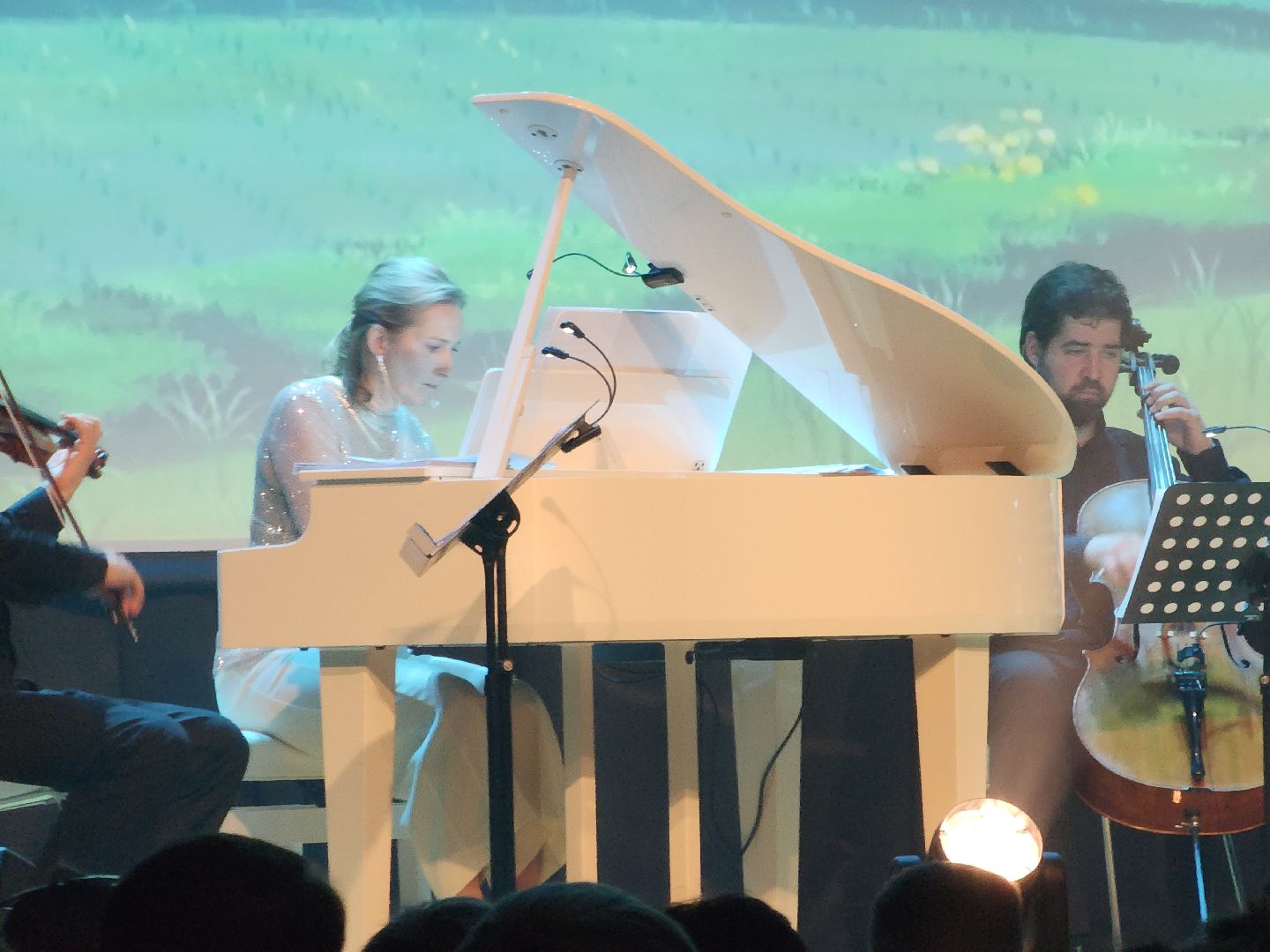 Черноголовка, Музпросвет, Культура,