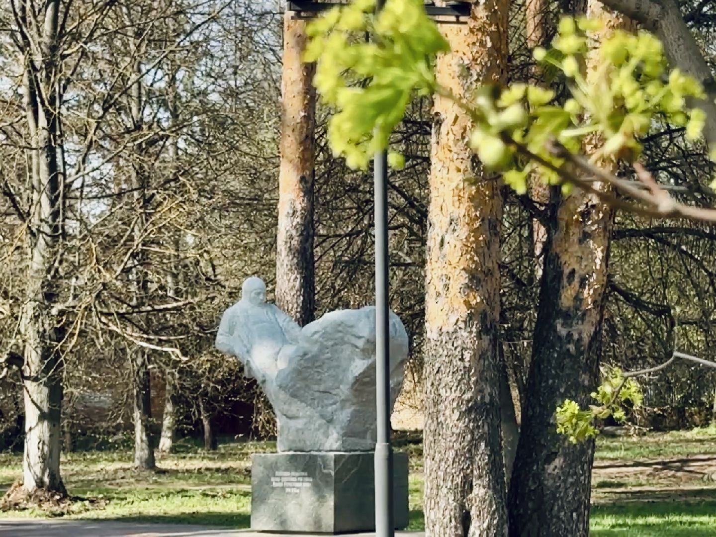 раменское, субботник, молодежь, юнармия,