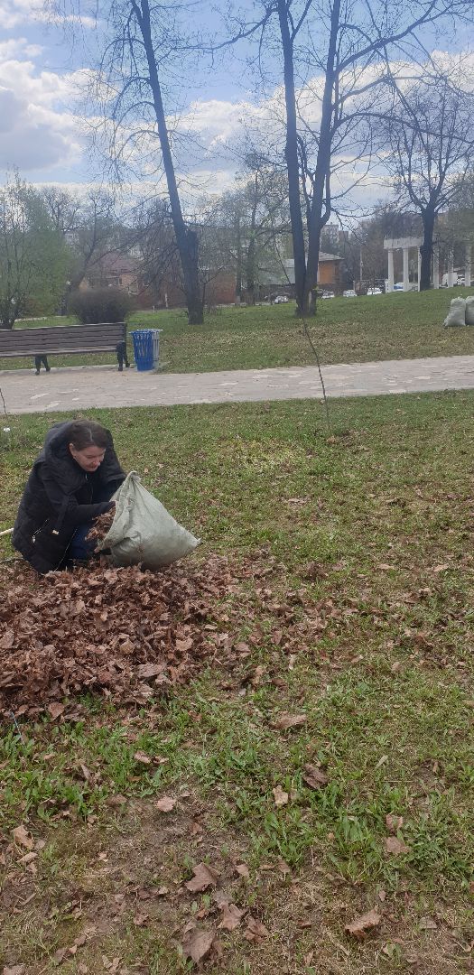 Долгопрудный, субботник, кустарник, шины