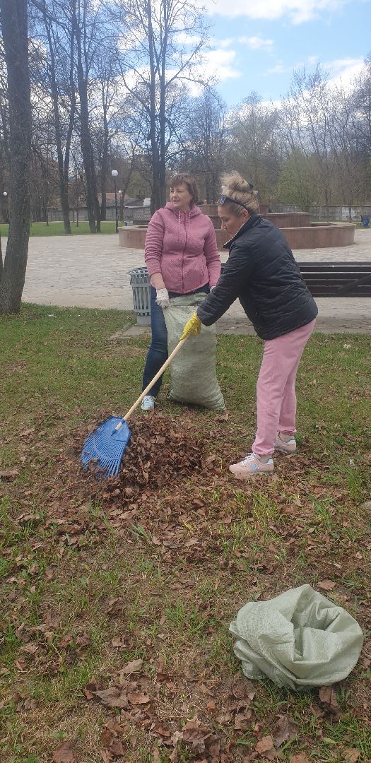 Долгопрудный, субботник, кустарник, шины